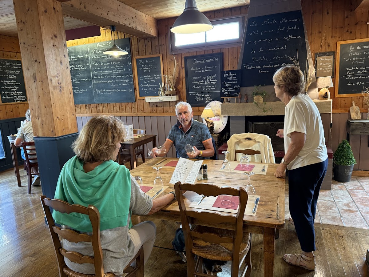 Le Merle Moqueur Photos 2